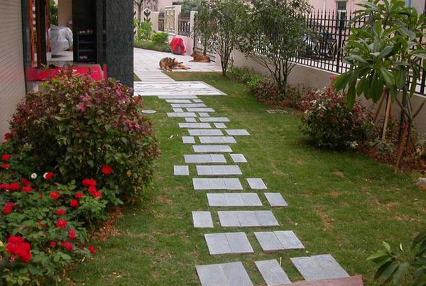 家庭庭院的绿化艺术